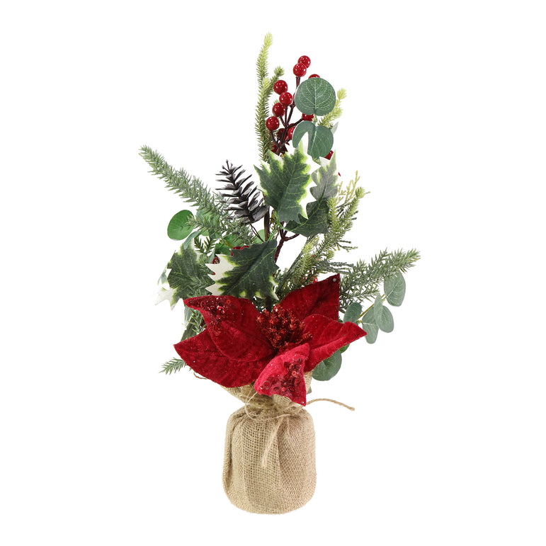 Potted Poinsettia Foliage