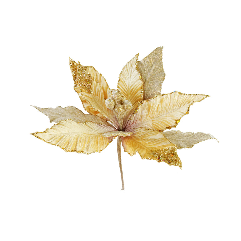 Luxury Poinsettia Icy