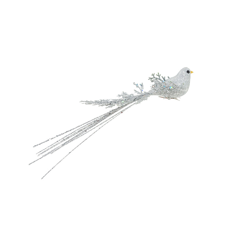 Clip Bird Long Tail