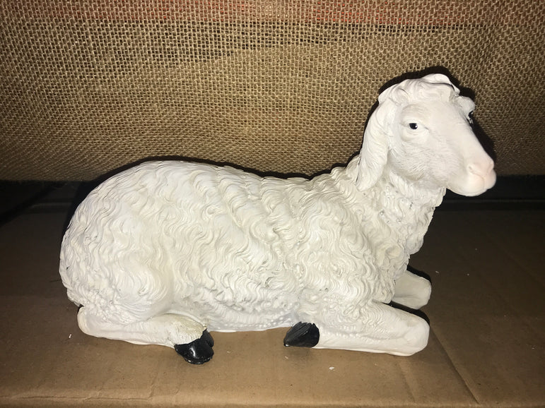 Sheep