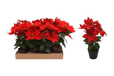 Red Poinsettia Flower Pot 26cm /29cm 2 styles