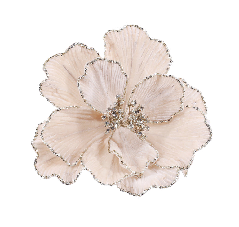 Peony Glitter Edge Clip 2 Asst