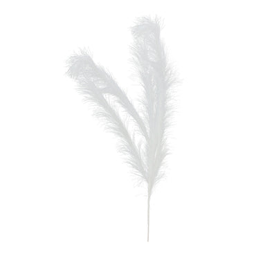 Pampas Grass Spray