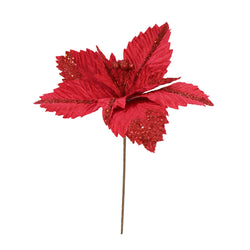Poinsettia Ruby Red Velvet