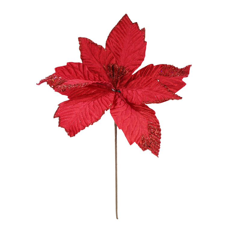 Poinsettia Ruby Red Velvet