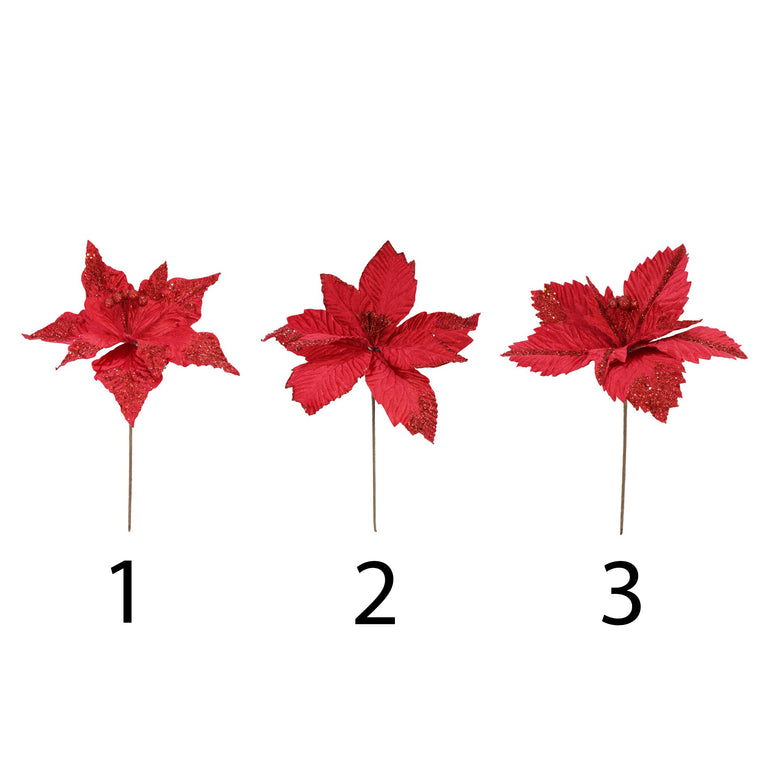 Poinsettia Ruby Red Velvet