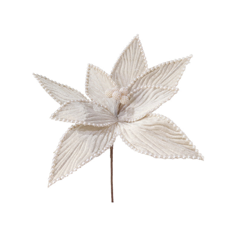Velvet Poinsettia Pale Pearls