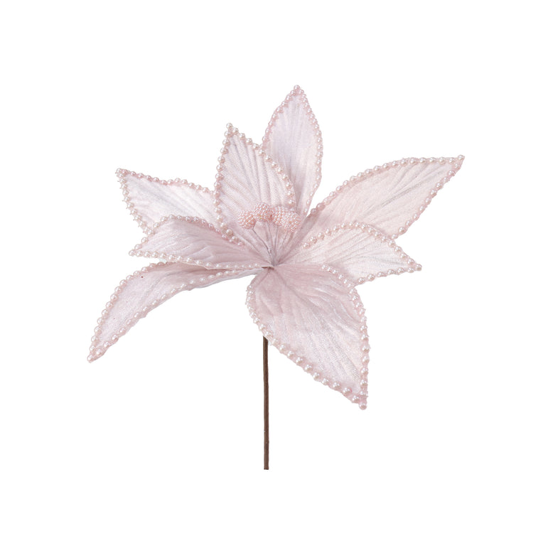 Velvet Poinsettia Pale Pearls