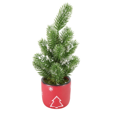 Potted Snowy Pine