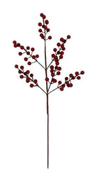 Berry Spray Glossy