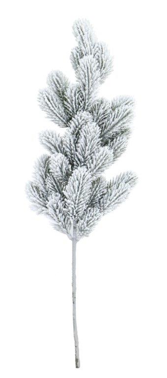 Pine Spray