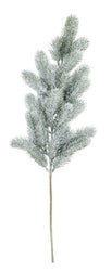 Pine Spray