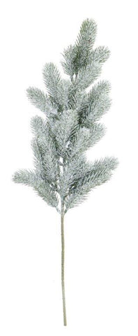 Pine Spray