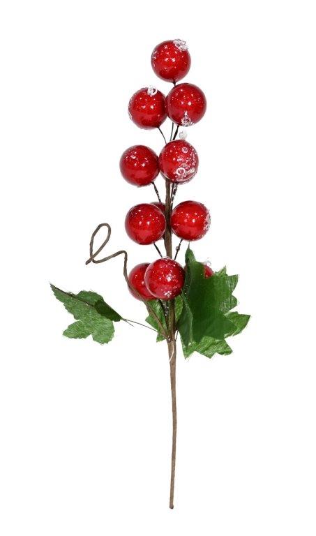 Appleberry Pick