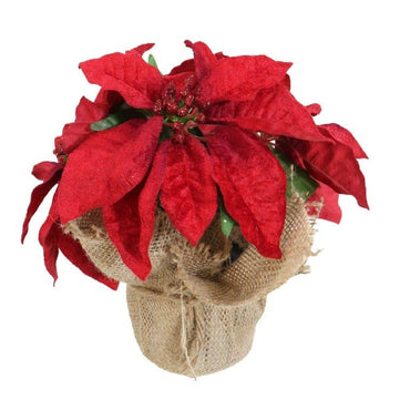 Red Poinsettia Flower Pot 26cm
