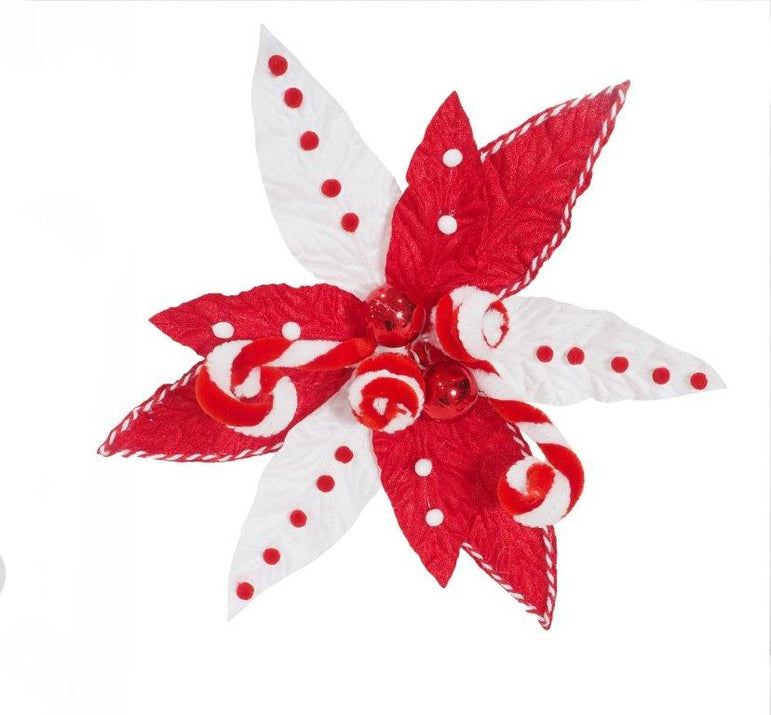 Candy Cane Poinsettia