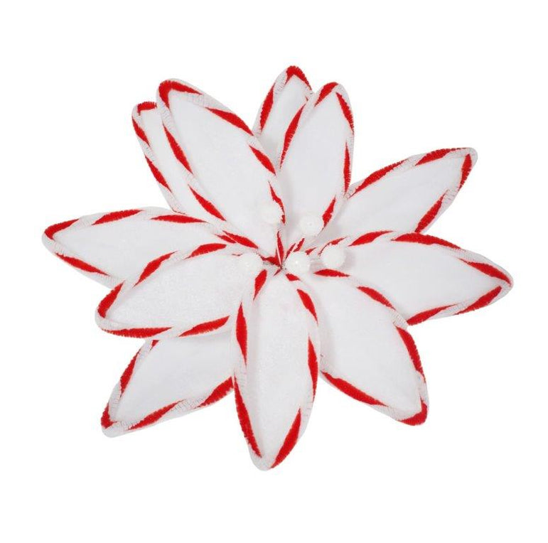 Candy Stripe Poinsettia