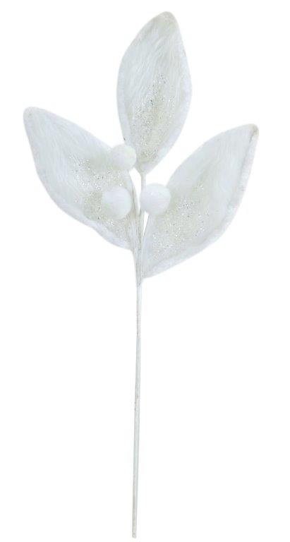White Furry Leaf Spray