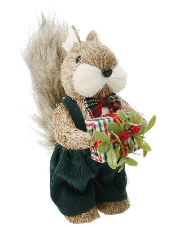Tartan Dressed Squirrel