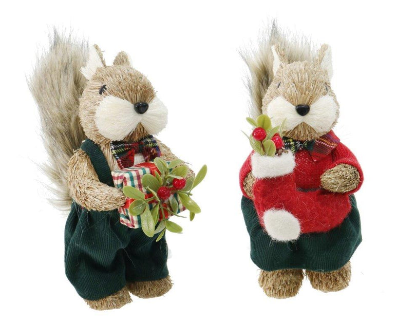 Tartan Dressed Squirrel