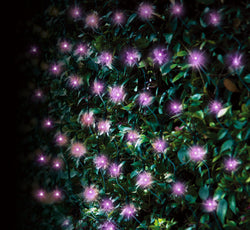Solar Net Light 150 Asst Colours