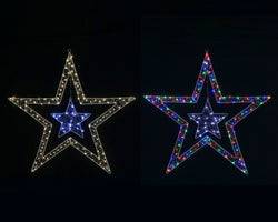 LED Starry Wire Snowflake / Stars 2-Tone Asst