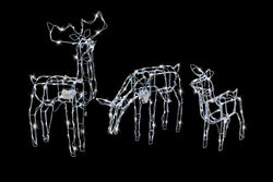 LED Reindeer Family Move And Flash 3pc