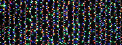 LED Cluster Crazy 100% Twinkle 6M Chain or 360m Curtain