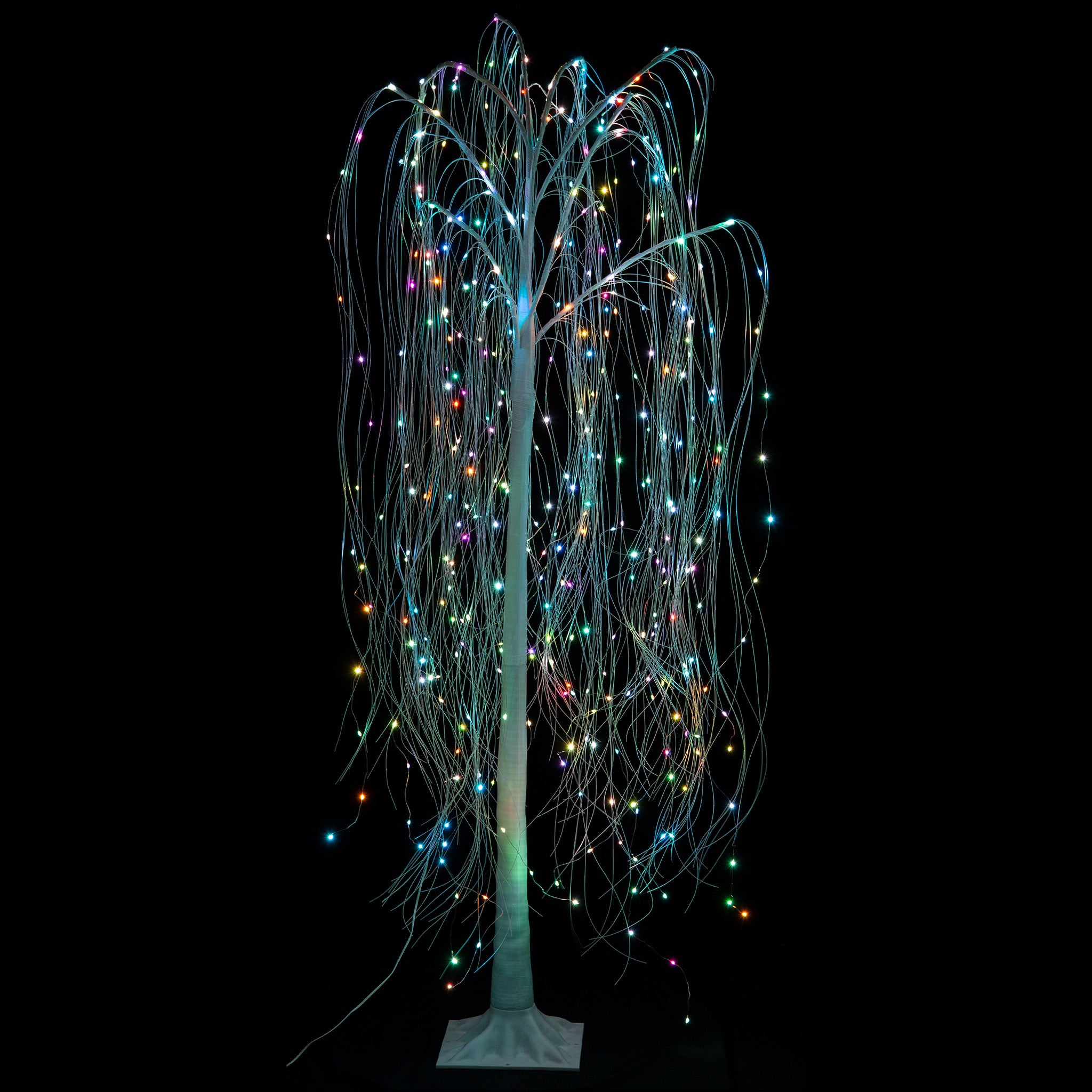 Colour Change Willow Tree (180m)