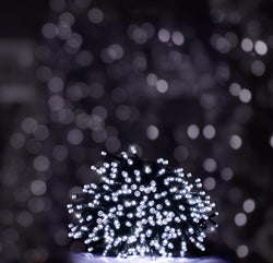 Solar LED Fairy Lights 240 5 Asst colours