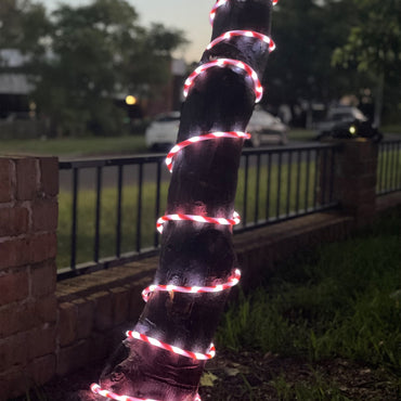 LED Flashing Candy Tube Light (10m)