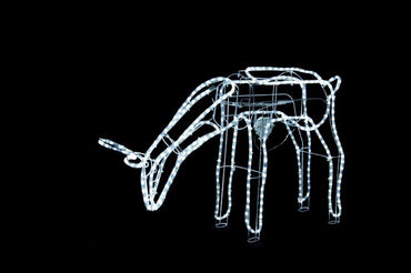 LED Ropelight Moving Reindeer