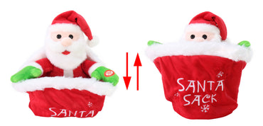 Musical Hide N Seek Character In Santa Sack Asst