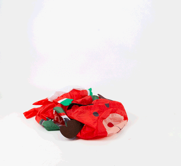 R/C Musical Santa Reindeer Race Car BO
