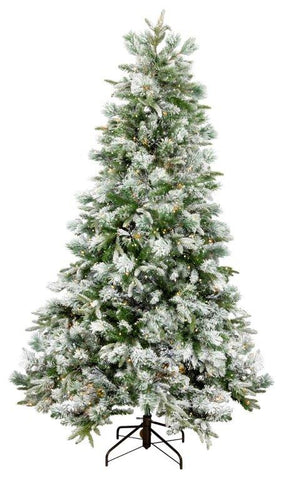 Flocked Emerald Angel Pine 210cm PRE LIT