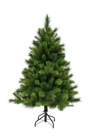 New York Spruce 150cm