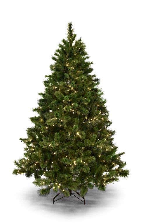New York Spruce 180cm PRE LIT