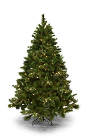 New York Spruce 180cm PRE LIT