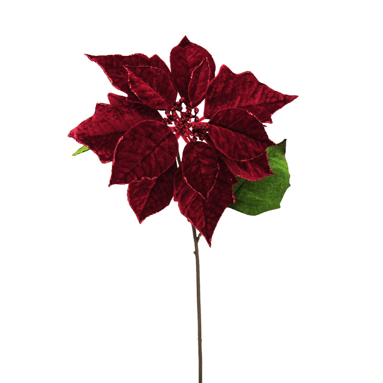 Poinsettia Red or Burgundy Stem