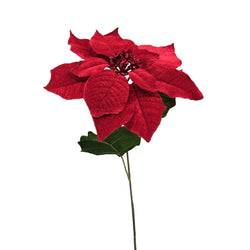 Poinsettia Red or Burgundy Stem