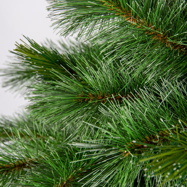 Frosted Colorado Spruce Tree (5ft/1.5m)