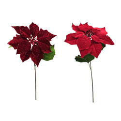 Poinsettia Red or Burgundy Stem