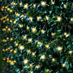 300 LED Solar Net Lights