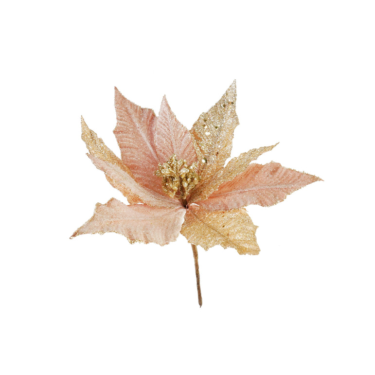 Luxury Poinsettia Icy