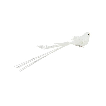 Clip Bird Long Tail