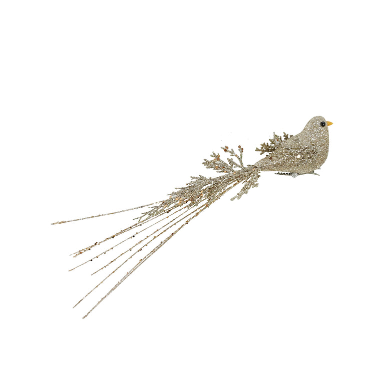 Clip Bird Long Tail
