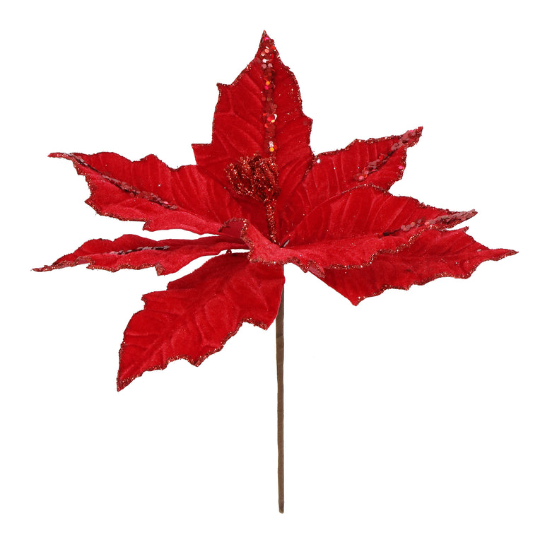 Velvet Poinsettia Red Mix