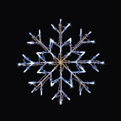 Snowflake Silhouette