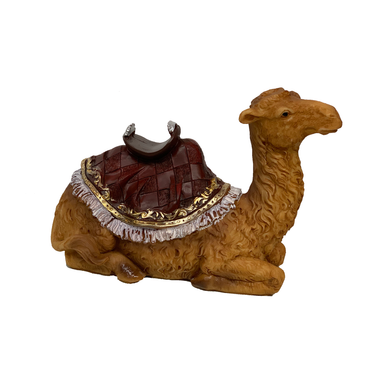 Camel Sitting with Saddle