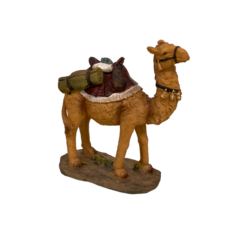 Camel with Saddle